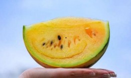 吃瓜网今日吃瓜,揭秘娱乐圈最新热点事件