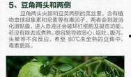 吃瓜爆料吃各种刮净,吃瓜爆料，刮净真相，带你领略明星幕后生活