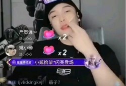 网红黑料哪里看,追踪网络舆论背后的真相