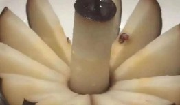 小土豆反差大赛,小土豆反差大赛精彩瞬间大盘点