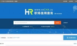 今日看料网搜索框在哪,探索搜索框背后的智慧与功能解析