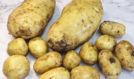 小土豆反差大赛,小土豆反差大赛精彩瞬间大盘点
