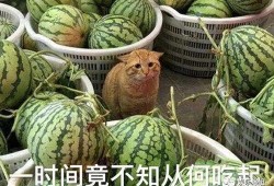 911爆料网红吃瓜