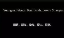 每日镜报 微小说大赛,捕捉日常瞬间，书写心灵故事