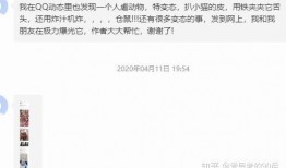 吃瓜爆料群qq群,QQ群里的热点追踪与幕后故事