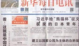 每日大赛观察怎么写,精彩瞬间与策略解析