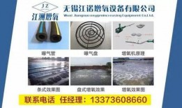 看料网,行业动态与市场趋势前瞻