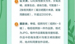 每日大赛投稿多少钱啊,每日大赛投稿费用一览