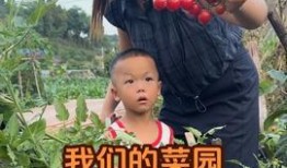 今日头条梅梅吃瓜,揭秘娱乐圈最新热点事件