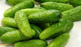 今日吃瓜5热门大瓜,揭秘娱乐圈五大热门事件