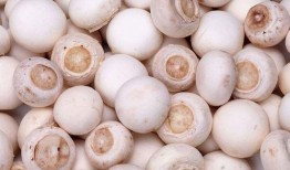 蘑菇吃瓜每日爆料,娱乐圈最新爆料大汇总