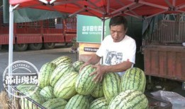 今日吃瓜价格表,吃瓜群众必看价格大盘点