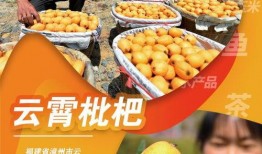 每日吃瓜大赛入口汇聚地,汇聚地揭秘，瓜界风云再起
