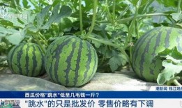今日吃瓜价格最新行情,新鲜吃瓜价格一览