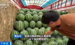 今日吃瓜价格表,吃瓜群众必看价格大盘点