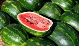 每日吃鲜瓜,夏日清凉生活新主张