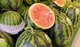 今日吃瓜每日分享,揭秘娱乐圈最新热点事件