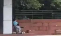 翰林院今日吃瓜事件视频,揭秘幕后真相与网络舆论风暴