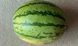 全球每日吃瓜,揭秘热点事件背后的真相与笑料