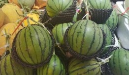 路人甲的每日吃瓜,揭秘娱乐圈幕后故事