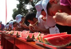 全国大赛每日吃瓜,揭秘赛场背后的精彩故事