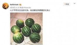 吃瓜网51cg4,吃瓜网背后的故事与影响