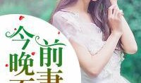 今日宜吃瓜小说完整版,揭秘小说世界的奇幻冒险之旅