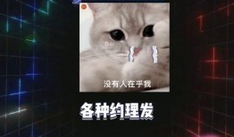 吃瓜课代表爆料,吃瓜课代表独家爆料，带你走进明星幕后故事