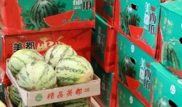潮州吃瓜最新事件爆料,最新事件揭秘，真相背后引热议