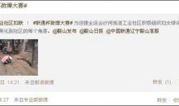 微博大赛反差大吗为什么,反差萌现象解析，为何如此吸睛？