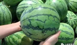 梁山吃瓜爆料是真的吗,真相还是谣言？