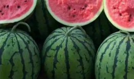 暗吃瓜网今日吃瓜,揭秘今日热门吃瓜事件，带你领略娱乐圈风云变幻