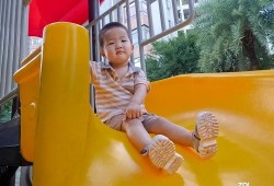 反差大赛怎么拍照片,打造视觉冲击的摄影艺术之旅