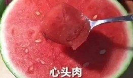 今日快乐源泉吃瓜,吃瓜群众狂欢盛宴