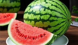 51cg10今日大瓜吃瓜中心,揭秘娱乐圈最新热点事件