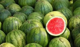 全球每日吃瓜,揭秘热点事件背后的真相与笑料
