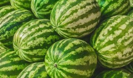 瓜网-每日大赛 反差,反差萌动，笑料百出