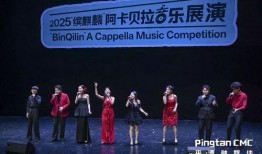 每日大赛评审团,揭秘精彩瞬间与专业点评