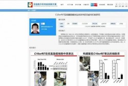 每日大赛看不了评论了,探索背后原因及应对策略