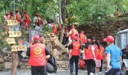 网红妙卡黑料去哪里看,追踪真相的追踪之旅