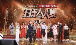 主持人大赛反差太大,主持人大赛中的惊喜演绎