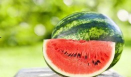 俄罗斯引擎51今日吃瓜