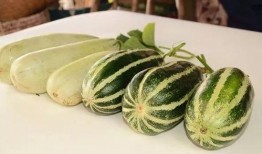 911爆料网红吃瓜