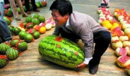 瓜网-每日大赛 反差,反差萌动，笑料百出