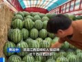 今日吃瓜价格最新行情,新鲜吃瓜价格一览