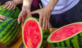 临海今日吃瓜事件视频,一场网络热议的幕后真相揭秘