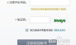 看料网怎么打开网站,轻松访问，探索信息海洋