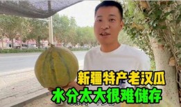 今日吃瓜每日吃瓜五一,每日吃瓜，五一生成欢乐时光