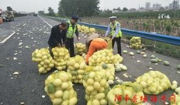 泗水吃瓜群众爆料视频