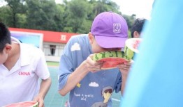 每日吃瓜每日大赛,揭秘娱乐圈幕后风云